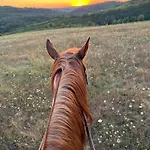 Vandorlo Vendeghaz Апартаменты *