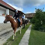 Vandorlo Vendeghaz Komlo