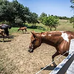 Vandorlo Vendeghaz Апартаменты Komlo