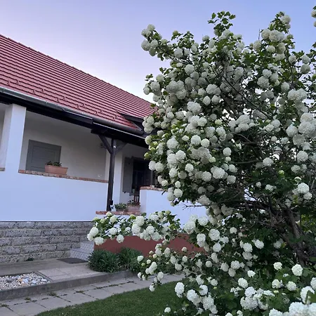 Vandorlo Vendeghaz Apartament Komló