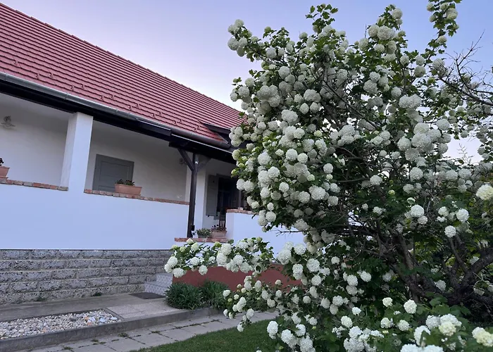Vandorlo Vendeghaz Apartament Komló
